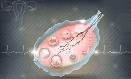 试管婴儿取卵后多久可以移植？(图1)